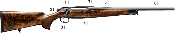 Sauer505 TechnischeDetails Desktop